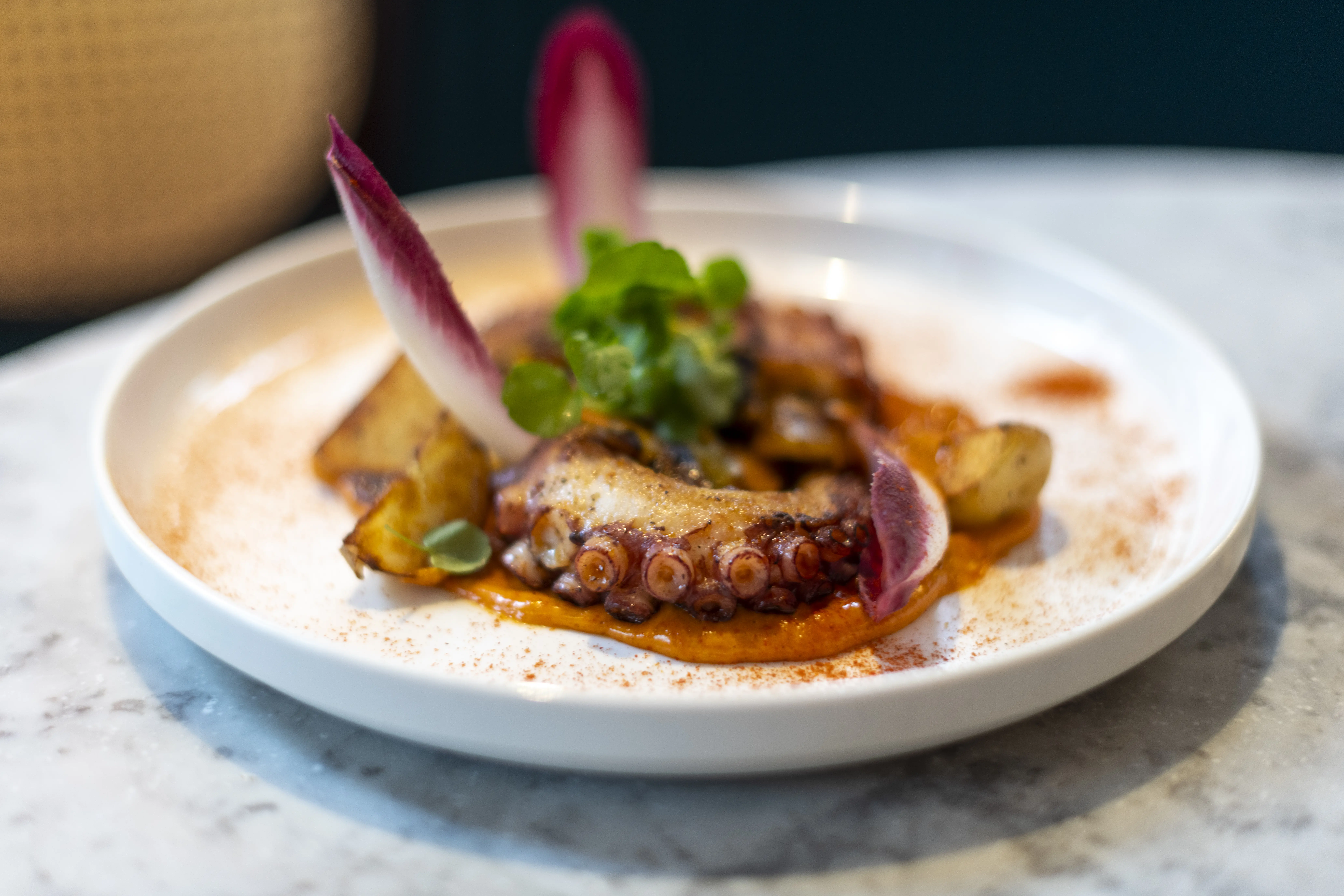 Closeup image of a plated serving of grilled Octopus tentacles at a high-end restaurant.