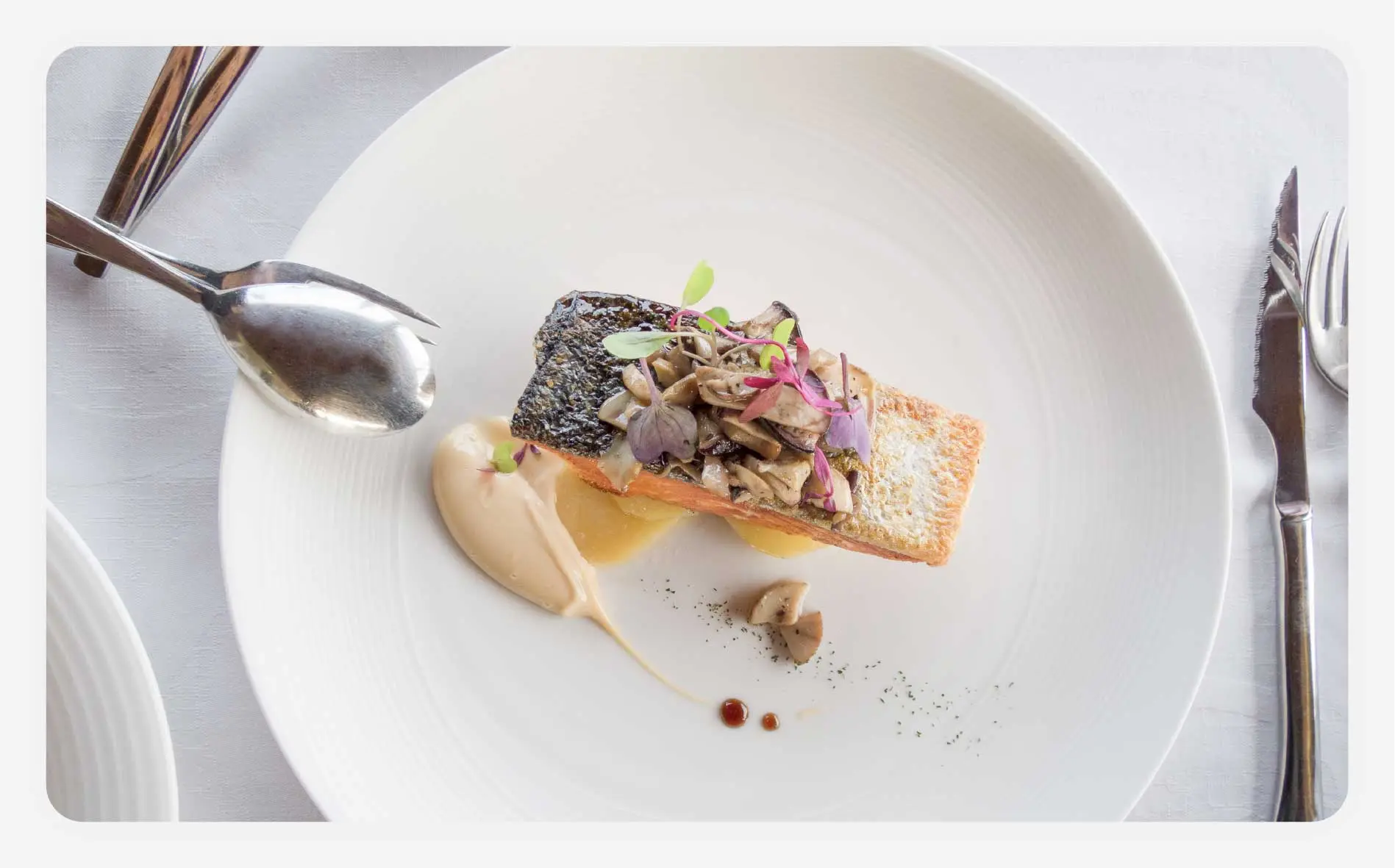 An artfully plated fish on a plate