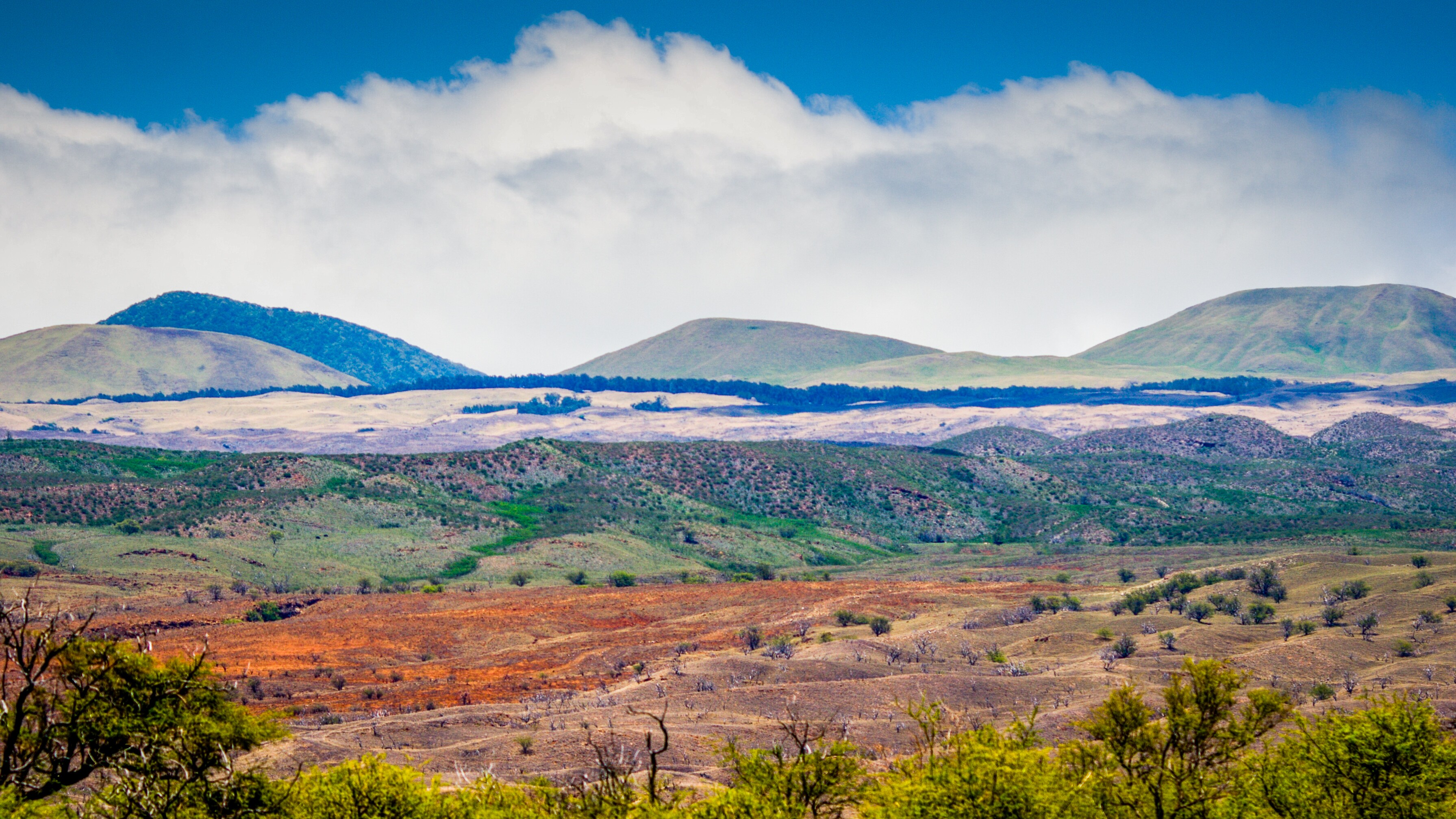 Akoni Pule Scenic Highway Road Trip