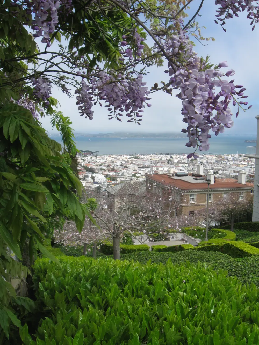 Views of Marina District and San Francisco Bay at Lyon Street Steps