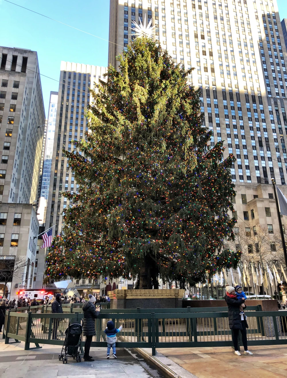 Christmas tree on display at Rockefeller Center in Midtown Manhattan in New York City
