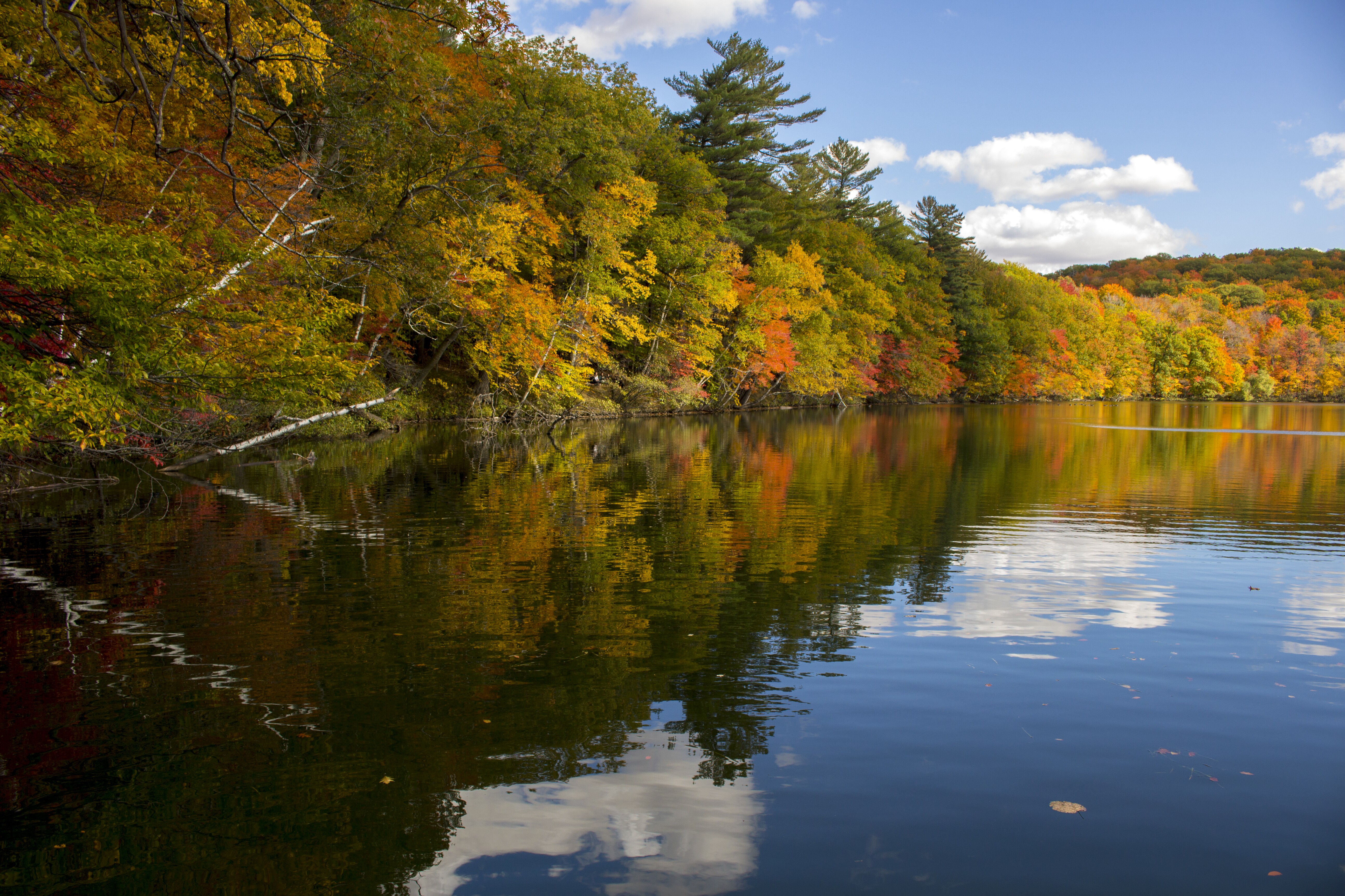 Autumn view of fall colors on Lac Seigneurial in the Mont-Saint-Bruno National Park (Parc national du Mont-Saint-Bruno) in Saint-Bruno-de-Montarville, Monteregie, Quebec, Canada.