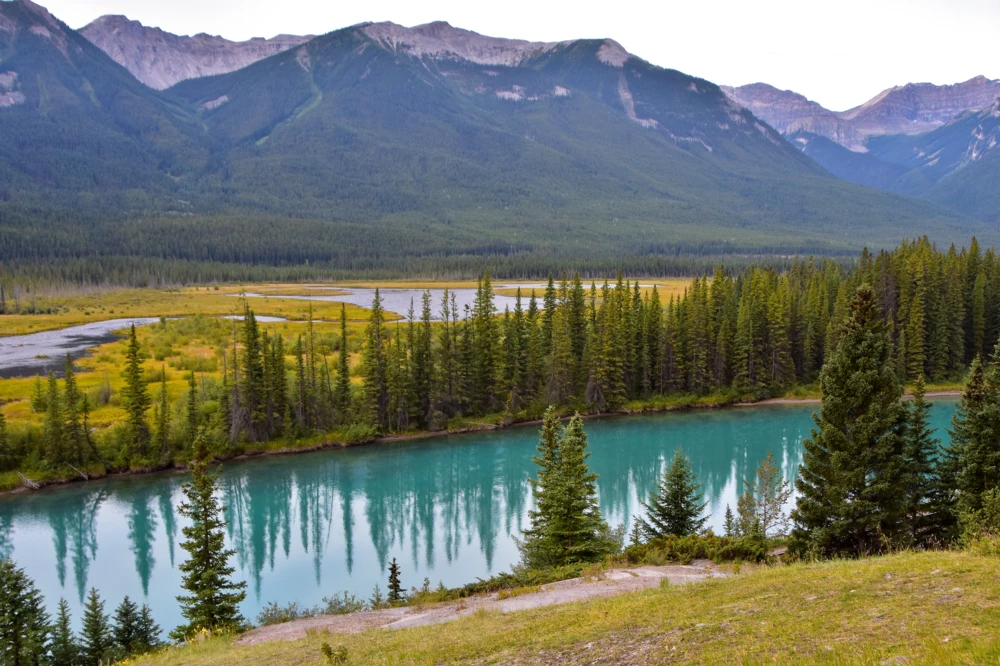 Backswamp Viewpoint overlooking a river and mountains along the Bow Valley Parkway in Banff National Park.