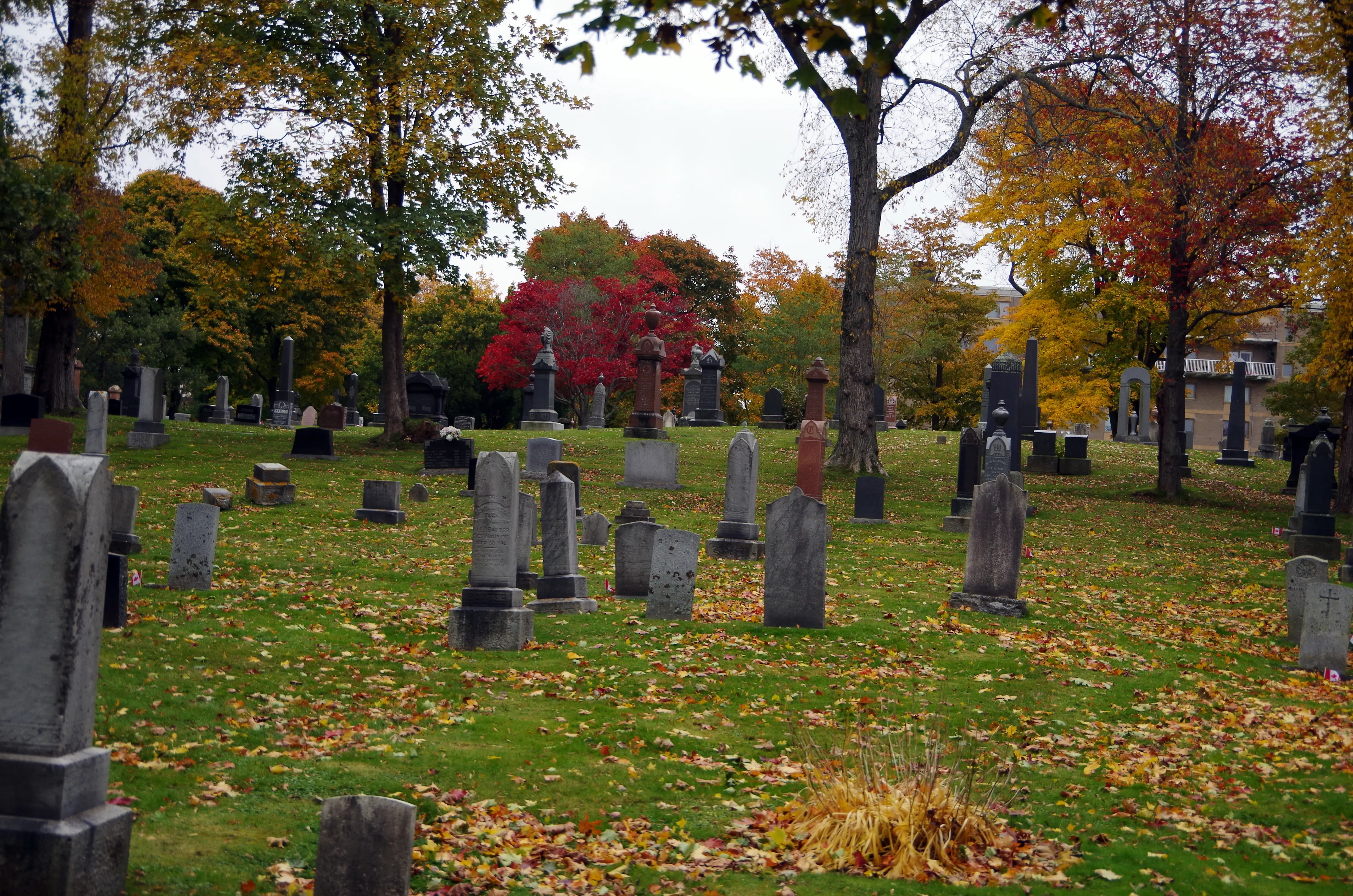 Outdoor image of a cemetery in Halifax