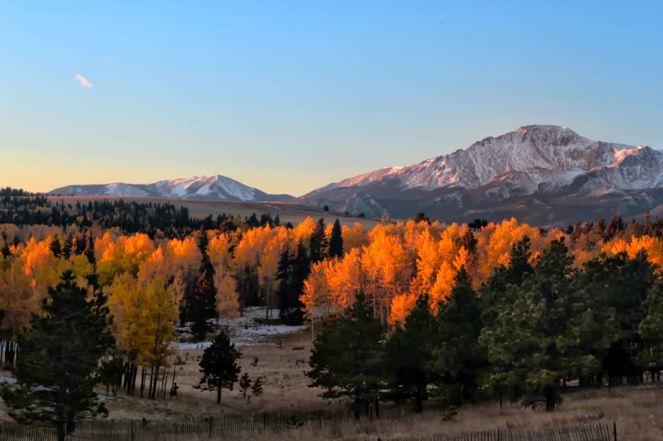 Getty Images / Ronda Kimbrow Photography