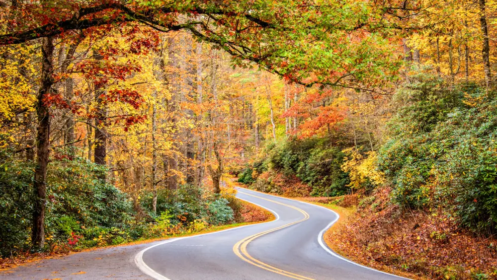 Curving two-lane road surrounded by fall foliage.