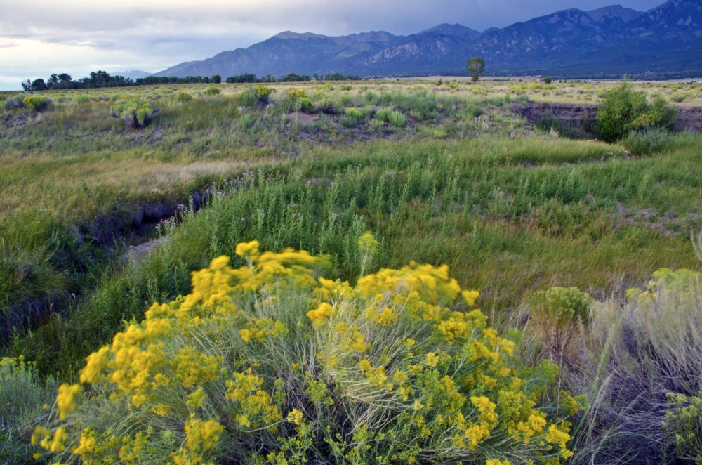 Mountain scene in Crestone Colorado