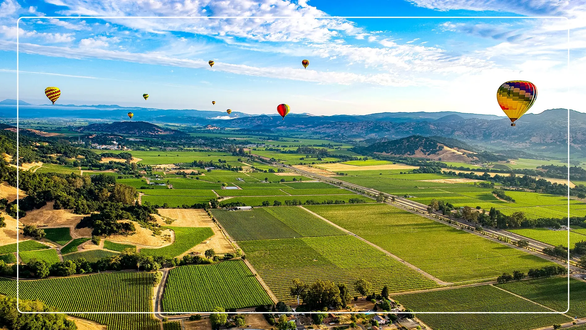 Several hot air balloons in the sky above the vineyards in Napa Valley.