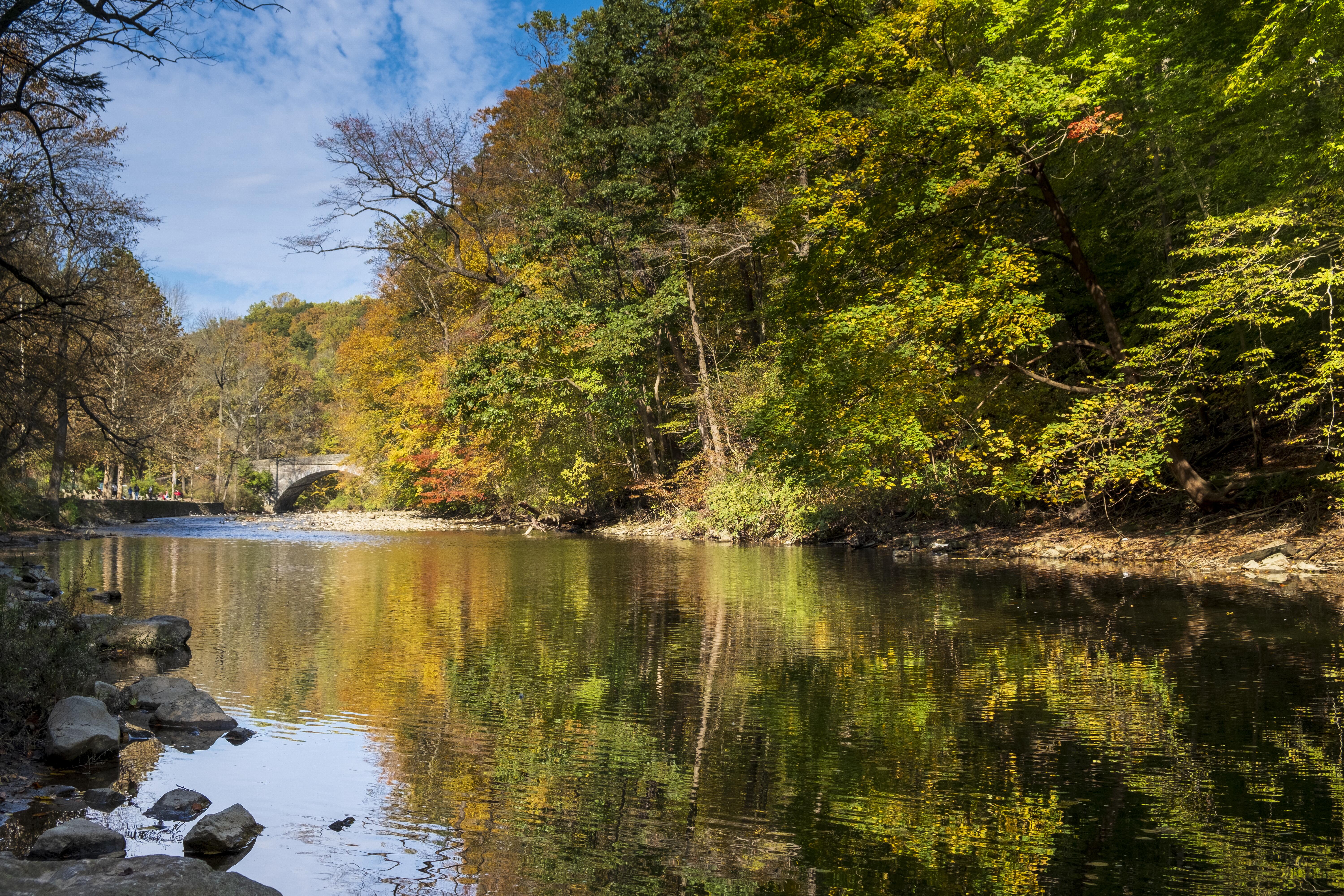 Image of the wilderness scenery of Wissahickon Valley Park, in Philadelphia, Pennsylvania.