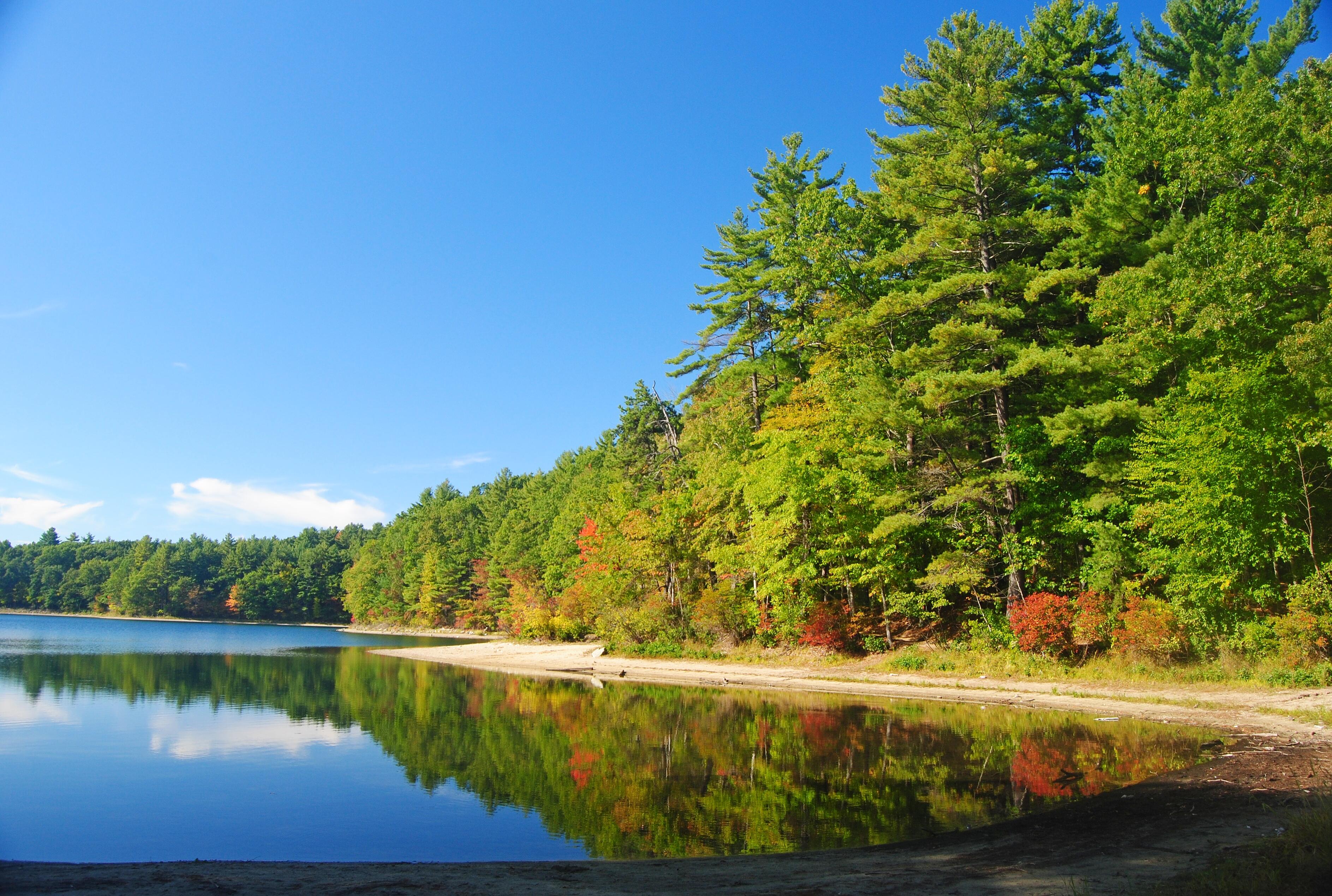 The Walden Pond near Concord Massachusetts