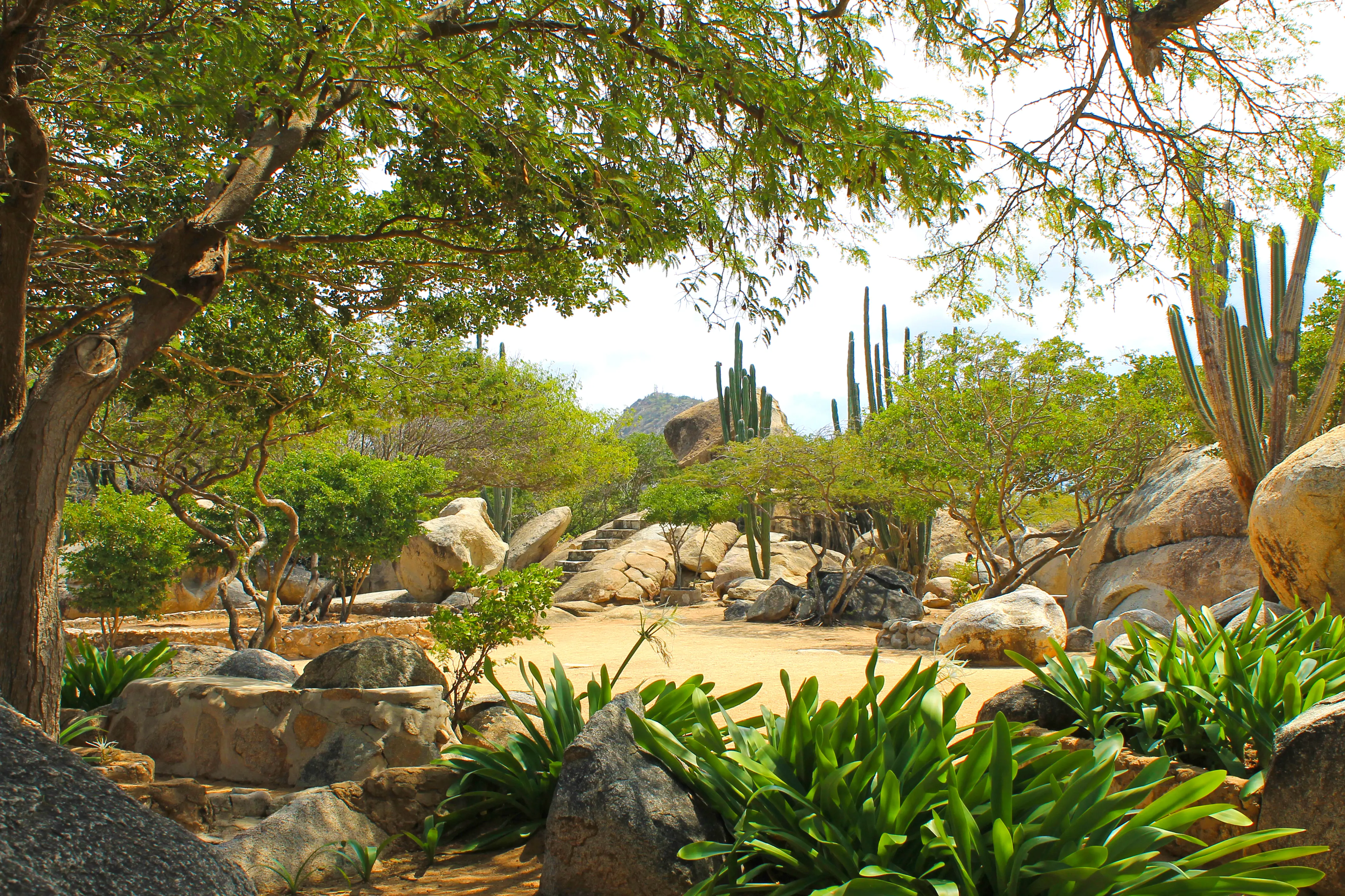 Ayo Rock Formations surrounded by cacti