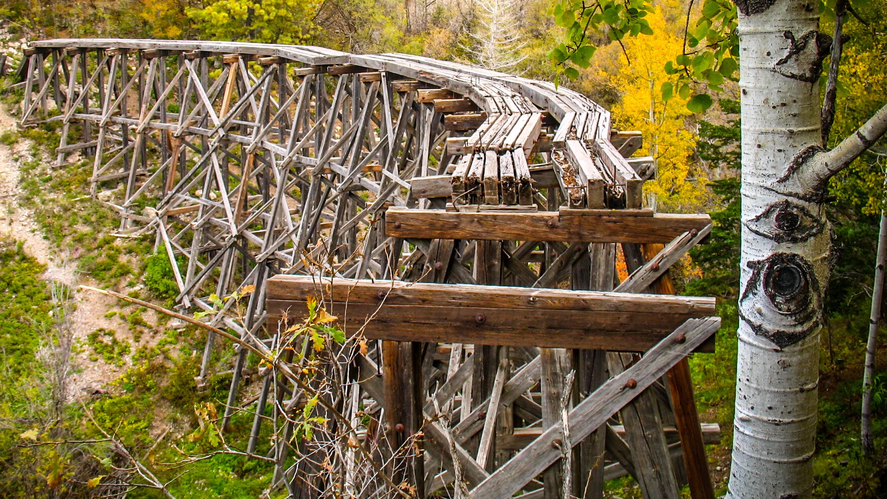 Lincoln National Forest Scenic Highway Road Trip