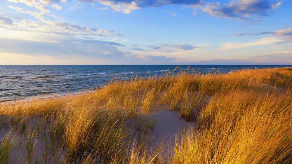 The view from the dunes on a beach in Chicago with Lake Michigan in the background.