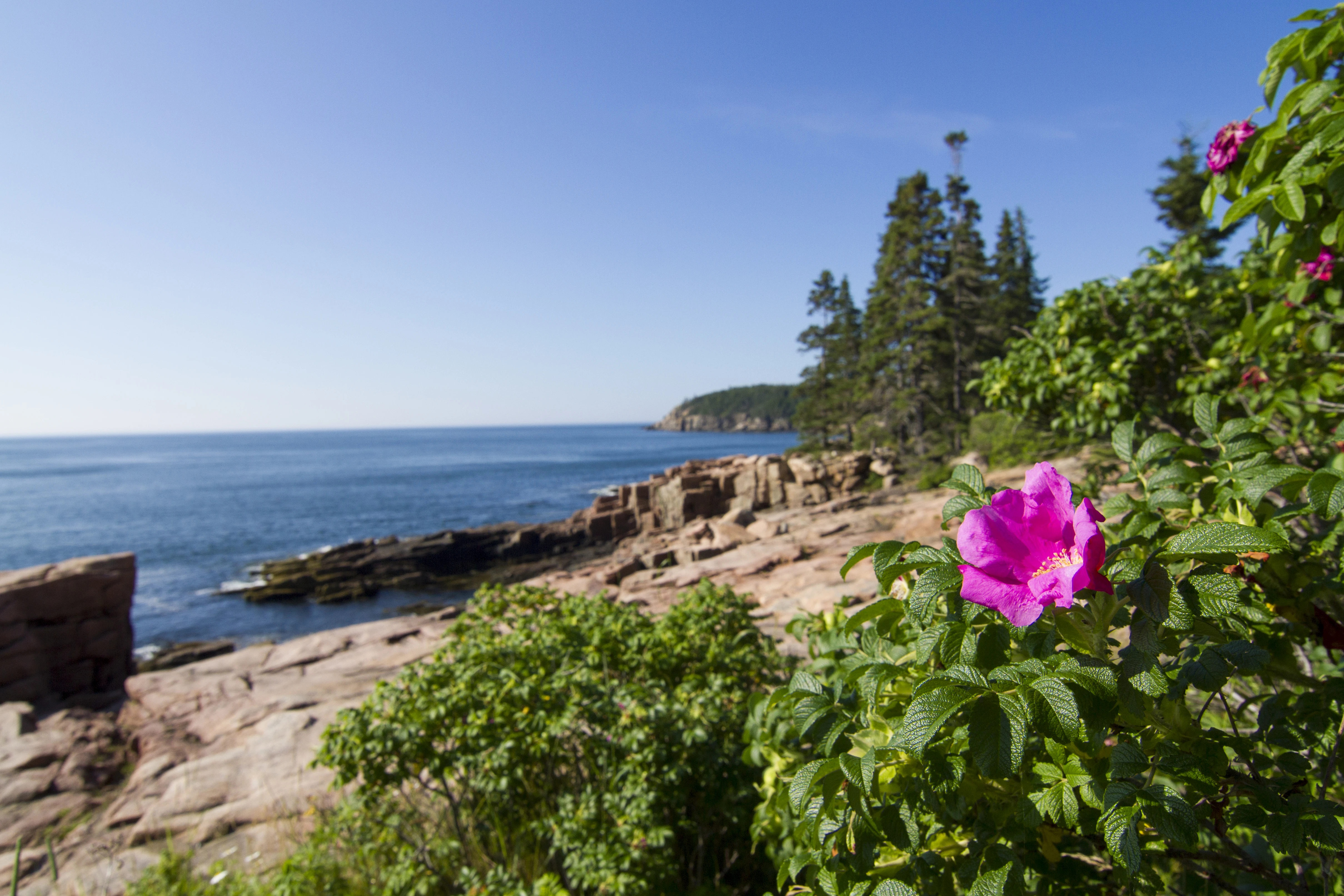 Acadia National Park Scenic Loop Road Road Trip