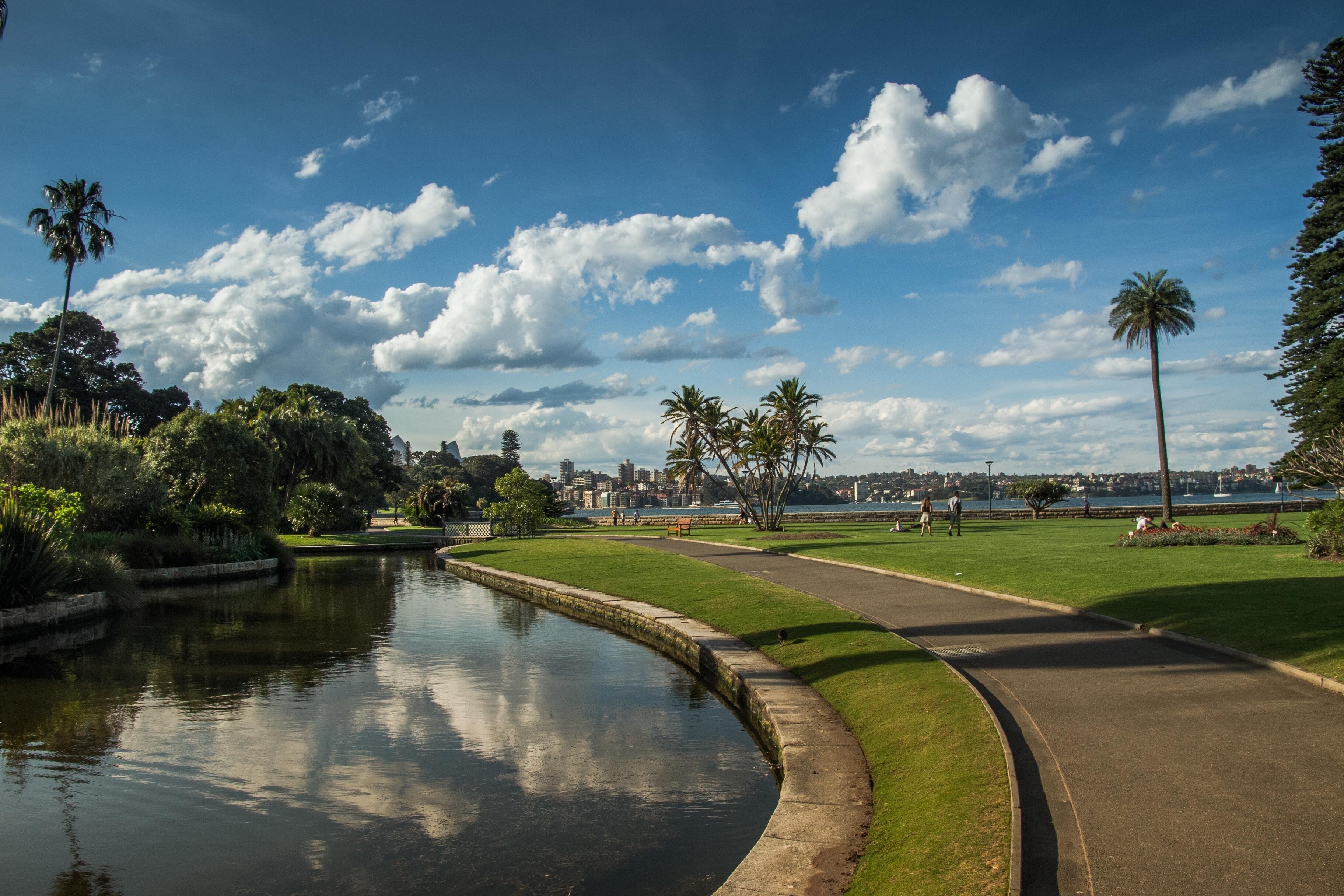 Photo of the Royal Botanic Garden and The Domain Art Sydney, AUS