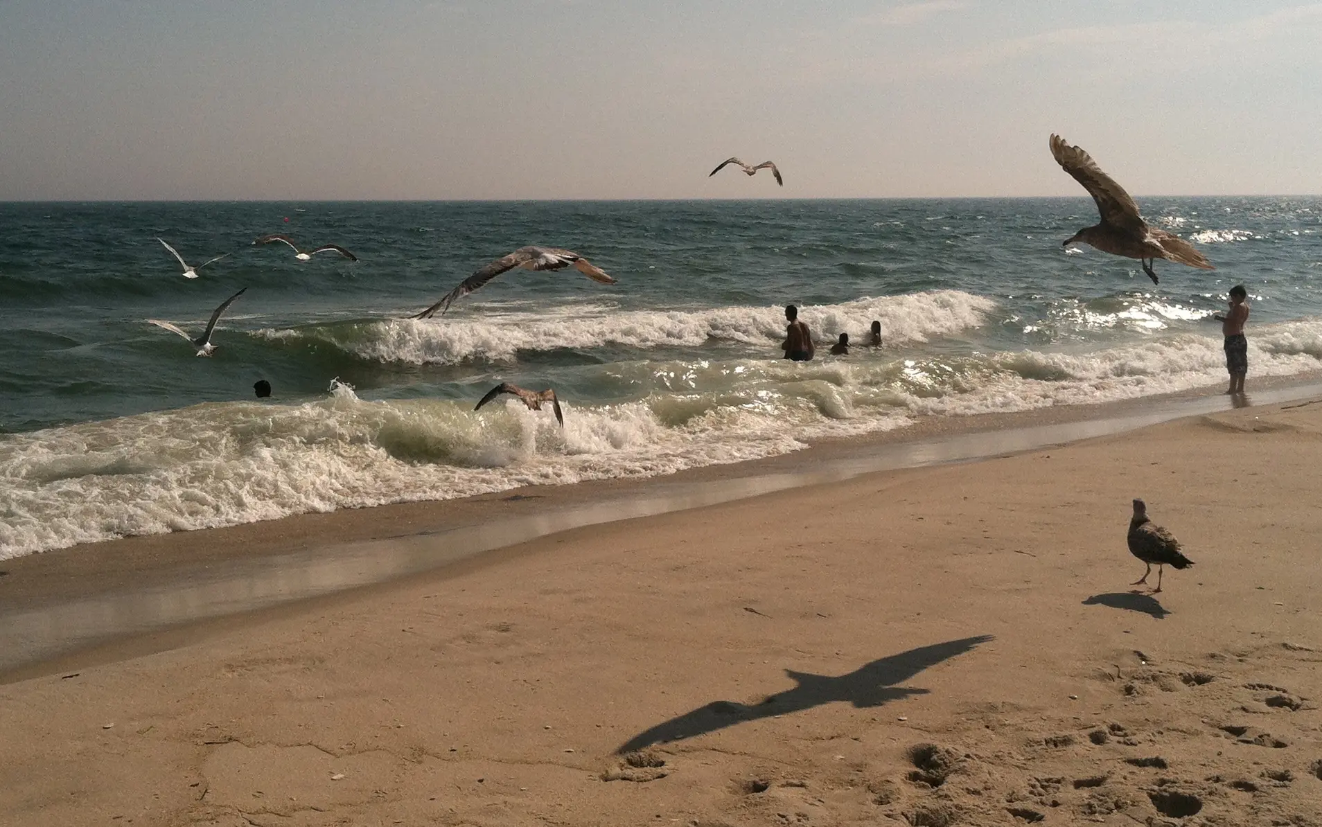 Image of the beach shoreline at Robert Moses State Park.
