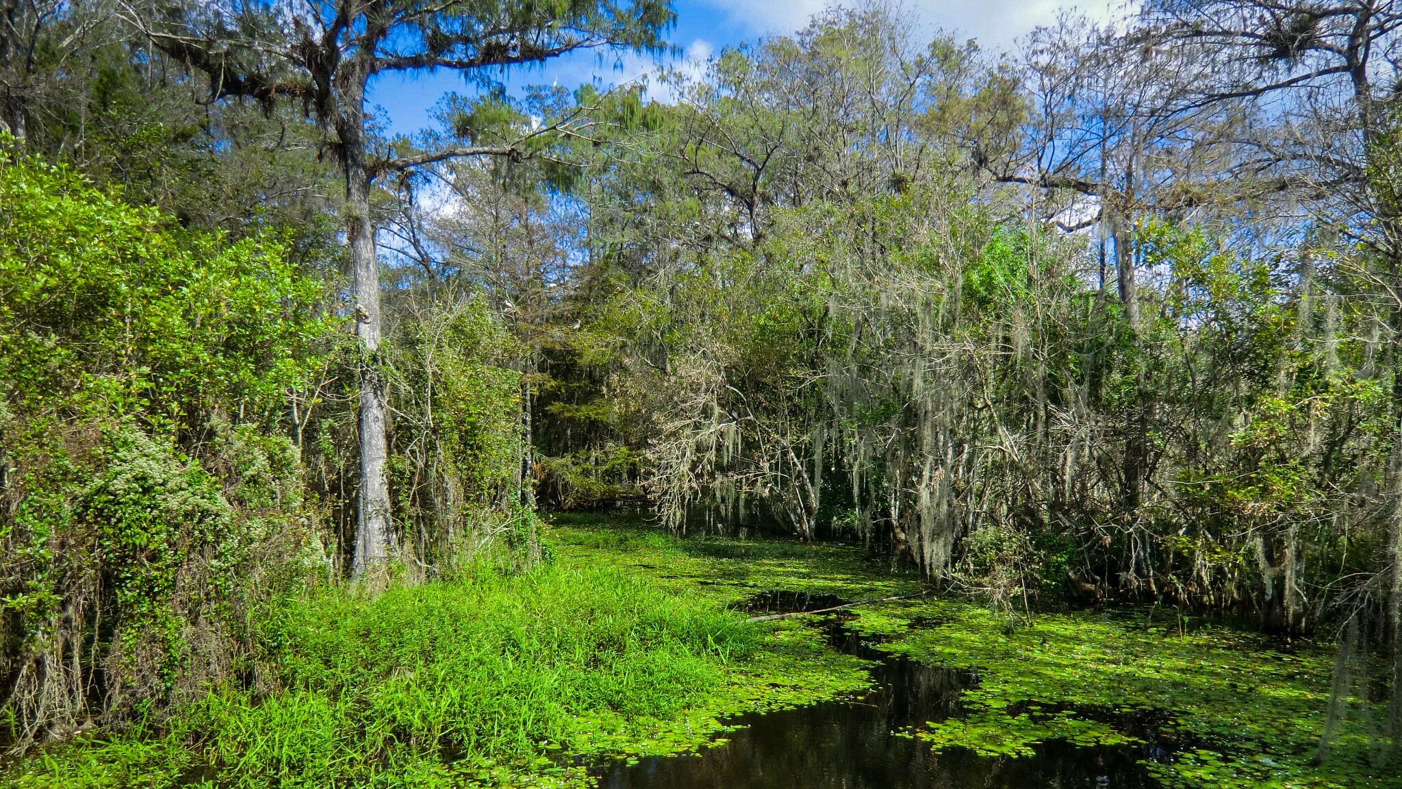 Tamiami Trail Scenic Drive Road Trip