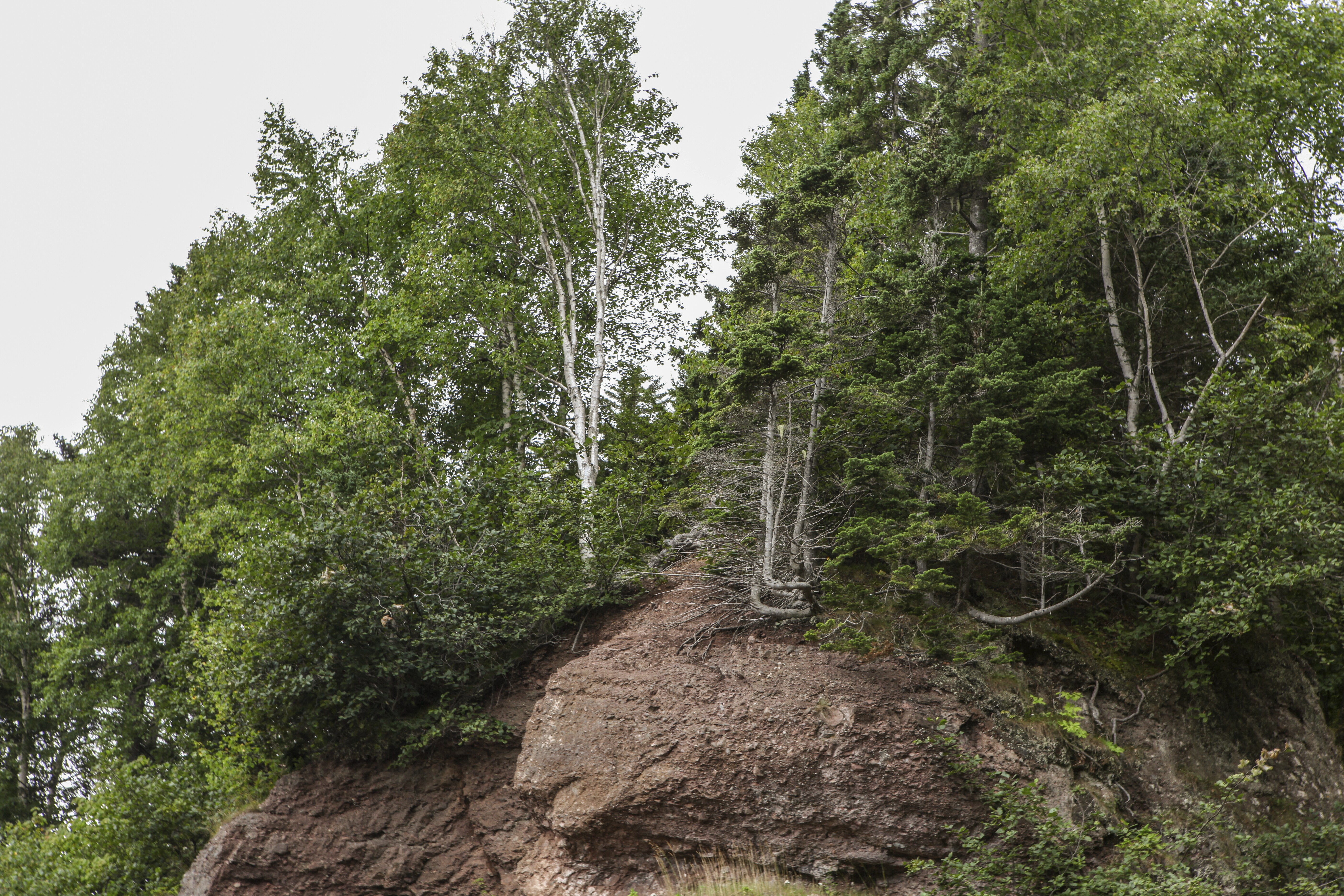 Fundy Coastal Scenic Drive, PR 111 to Gardner Creek Road Trip