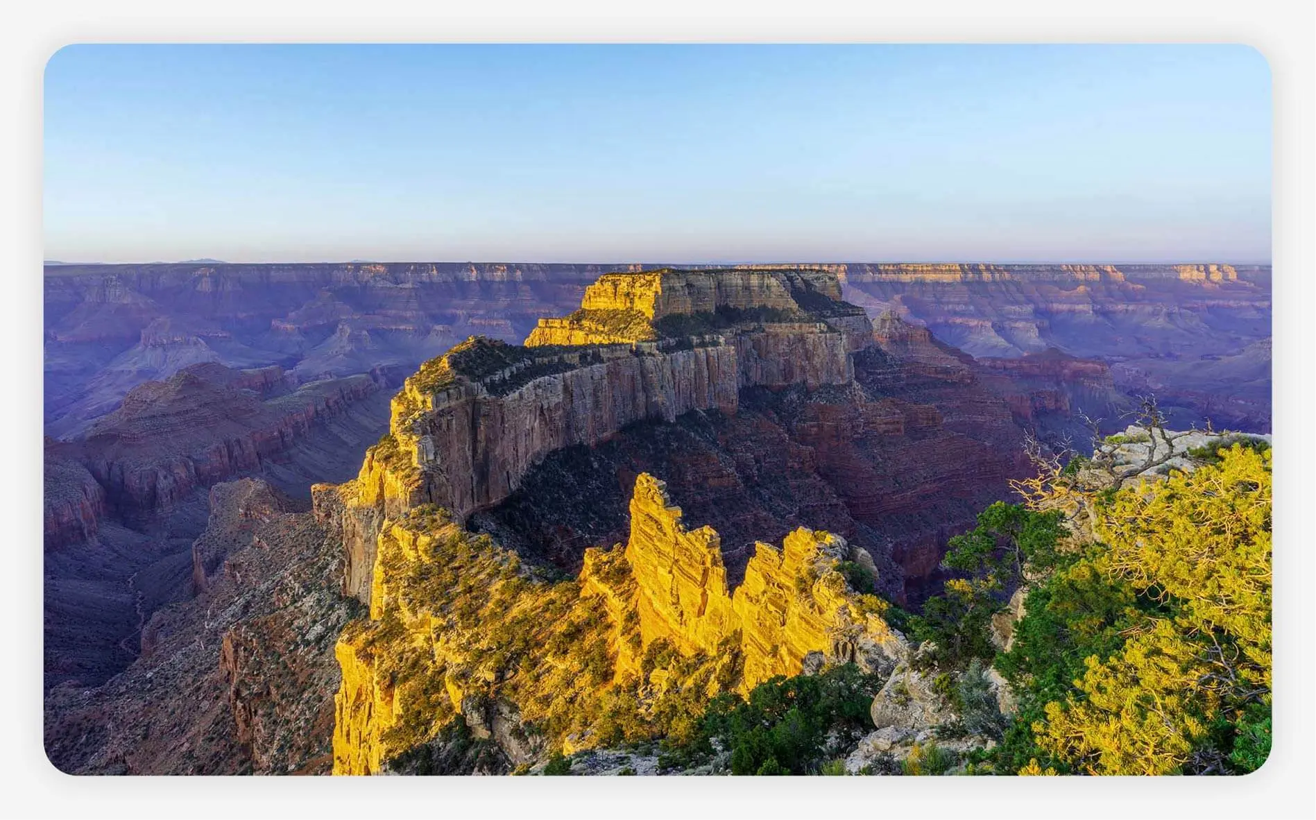 View of the North Rim of the Grand Canyon.