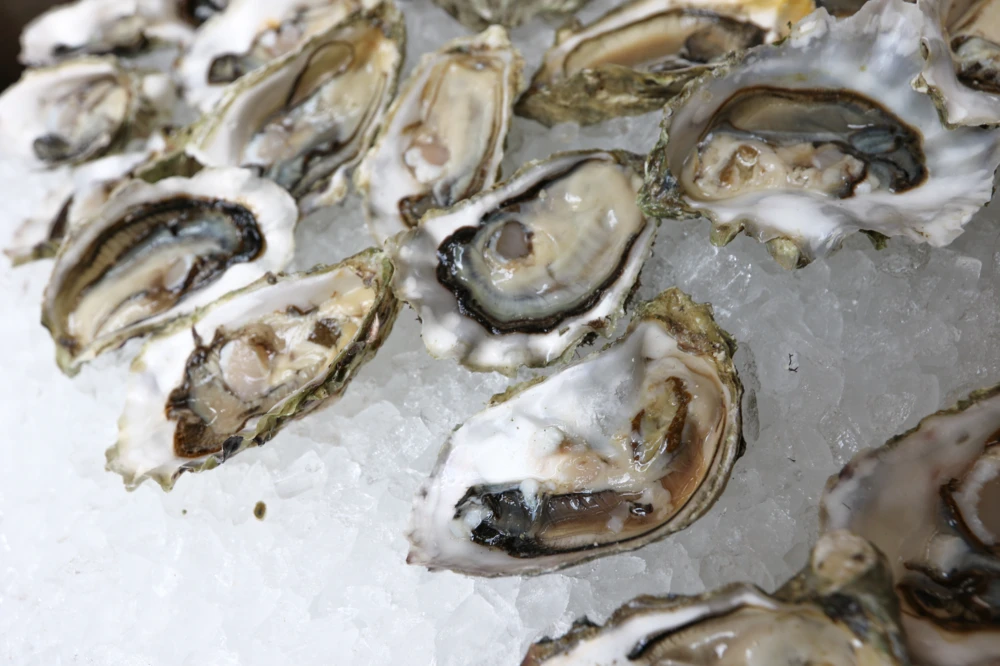 Unedited, foodie, artisan, oysters