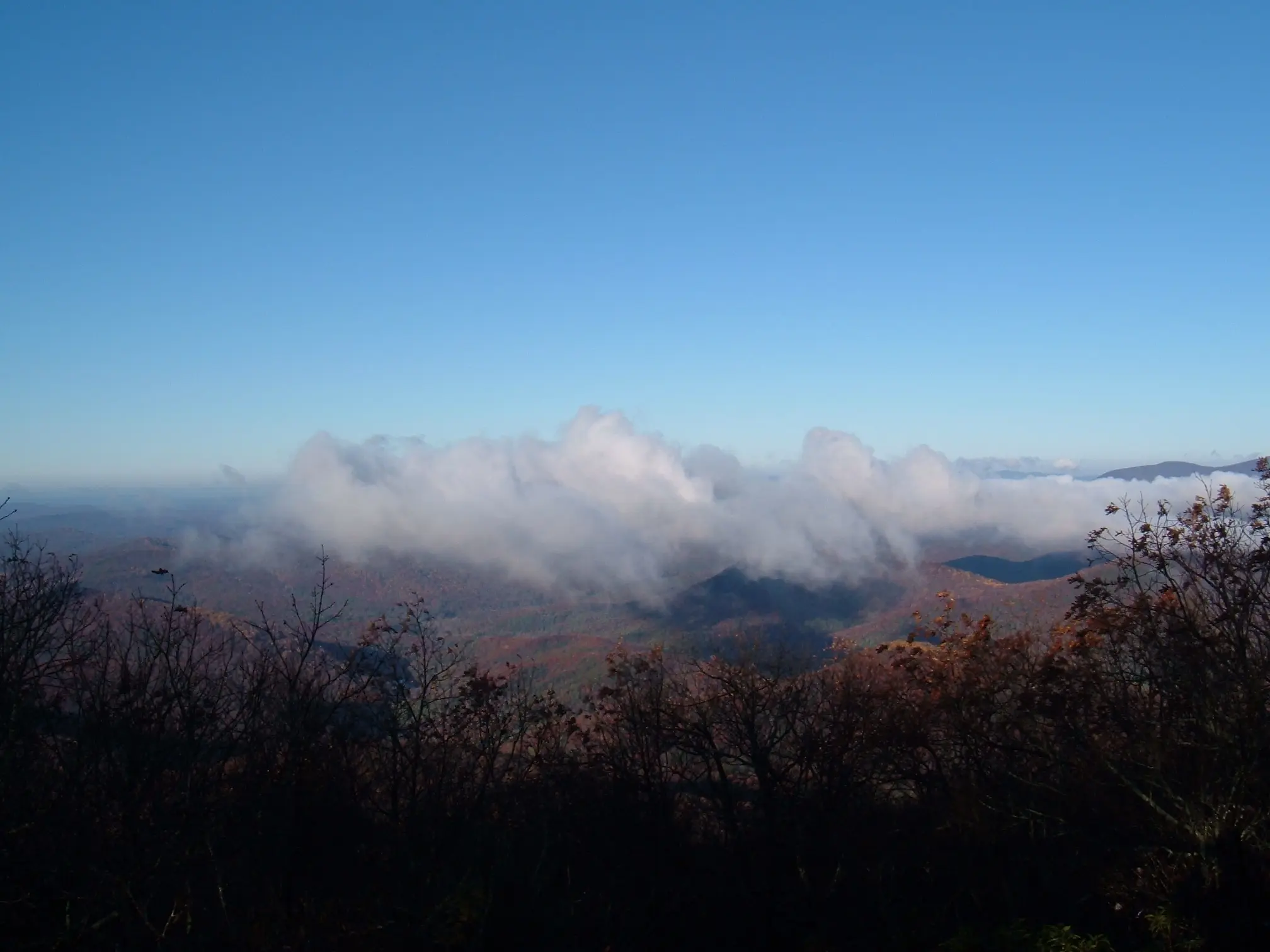 Outdoor image of the view from Springer Mountain