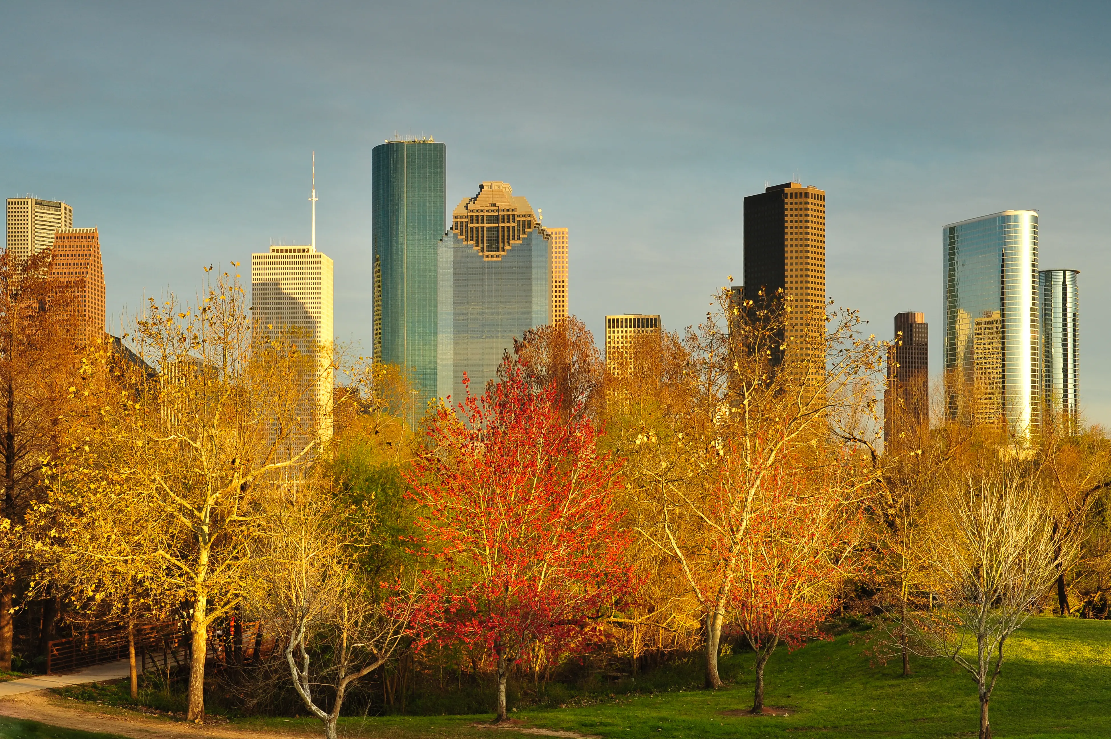 Image of the Houston Skyline as seen from a public park in Fall.