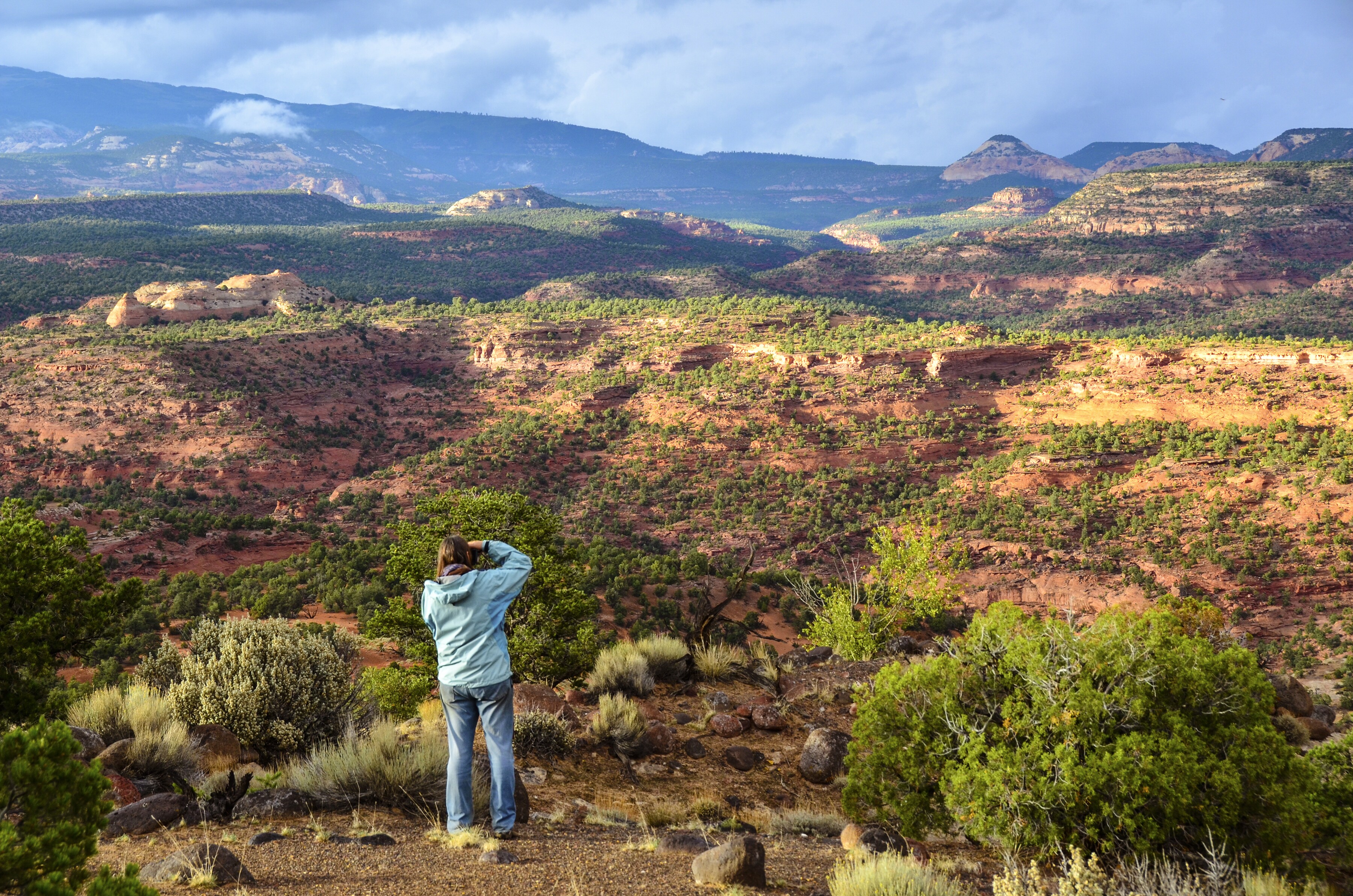 Markagunt High Plateau Scenic Byway Road Trip