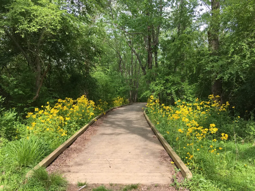 Constitution Lakes Park in Atlanta Georgia