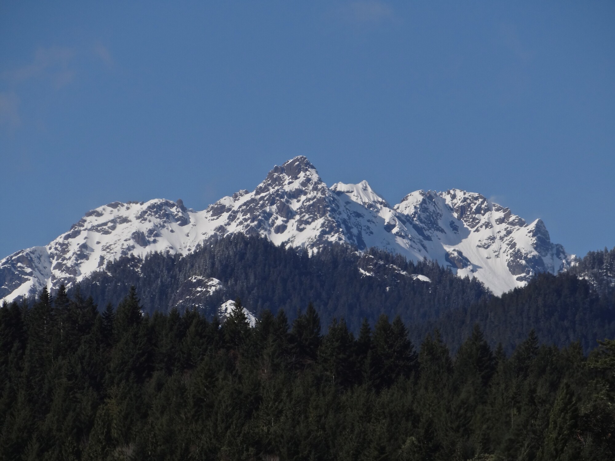 Hood Canal Scenic Route Road Trip