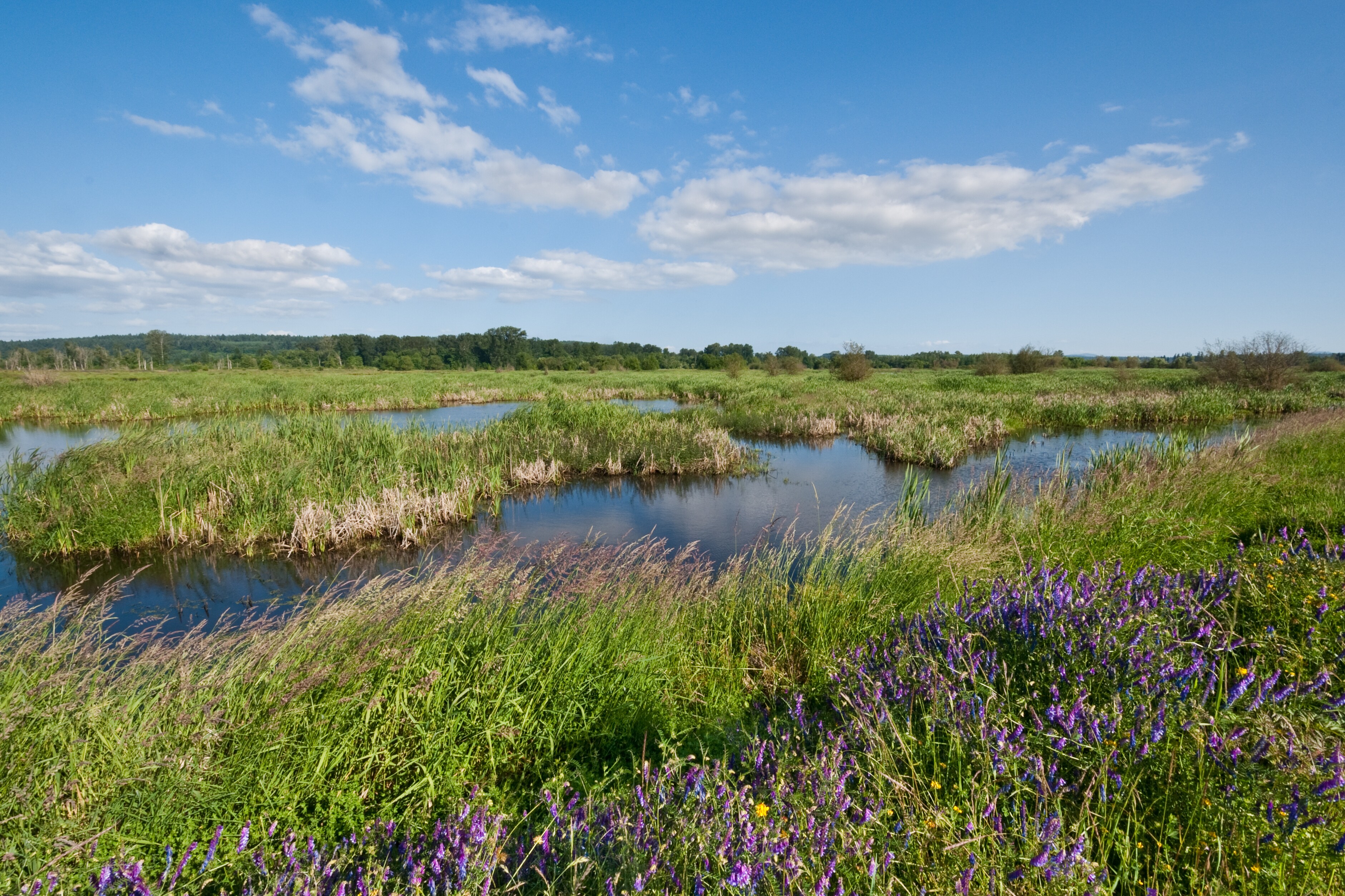 Pacific Coast Scenic Byway, Southwest Washington coast Road Trip