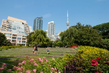 10 Free Things to Do in Toronto