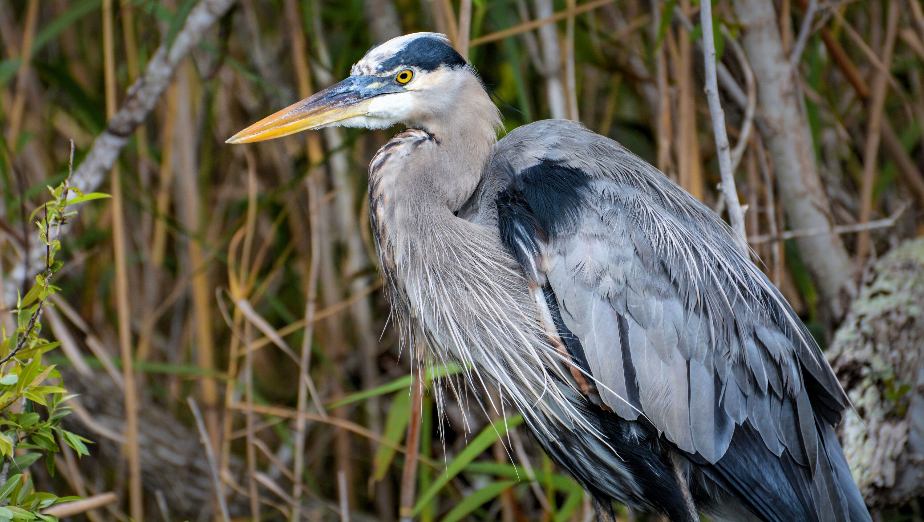 The Space Coast and Atlantic Beaches Road Trip