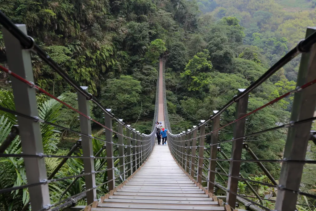 Image of the Zhushan Sky Ladder 136-meter suspension bridge in Nantou, Taiwan.