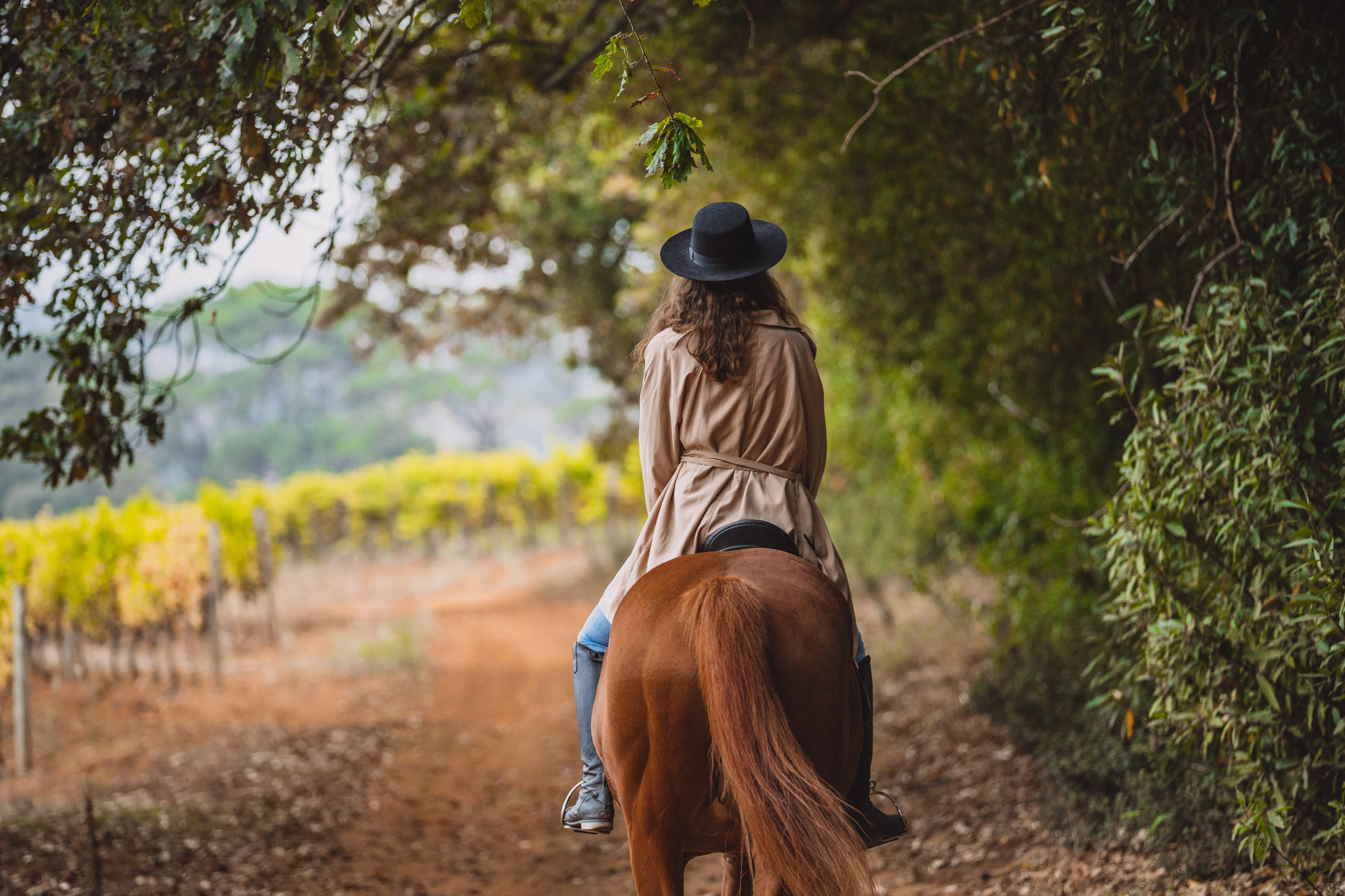 Image of a woman riding a horse at a vineyard.