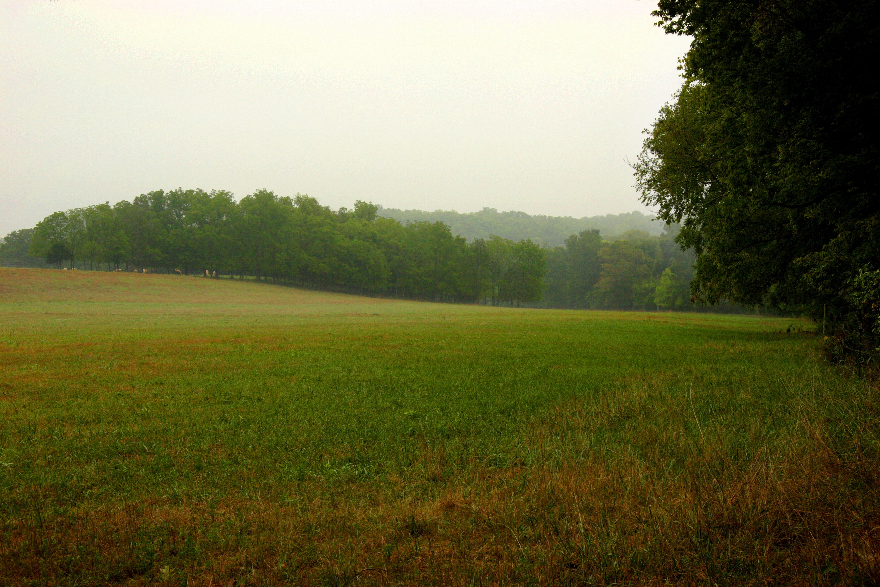 Missouri's Crowley's Ridge Scenic Parkway Road Trip