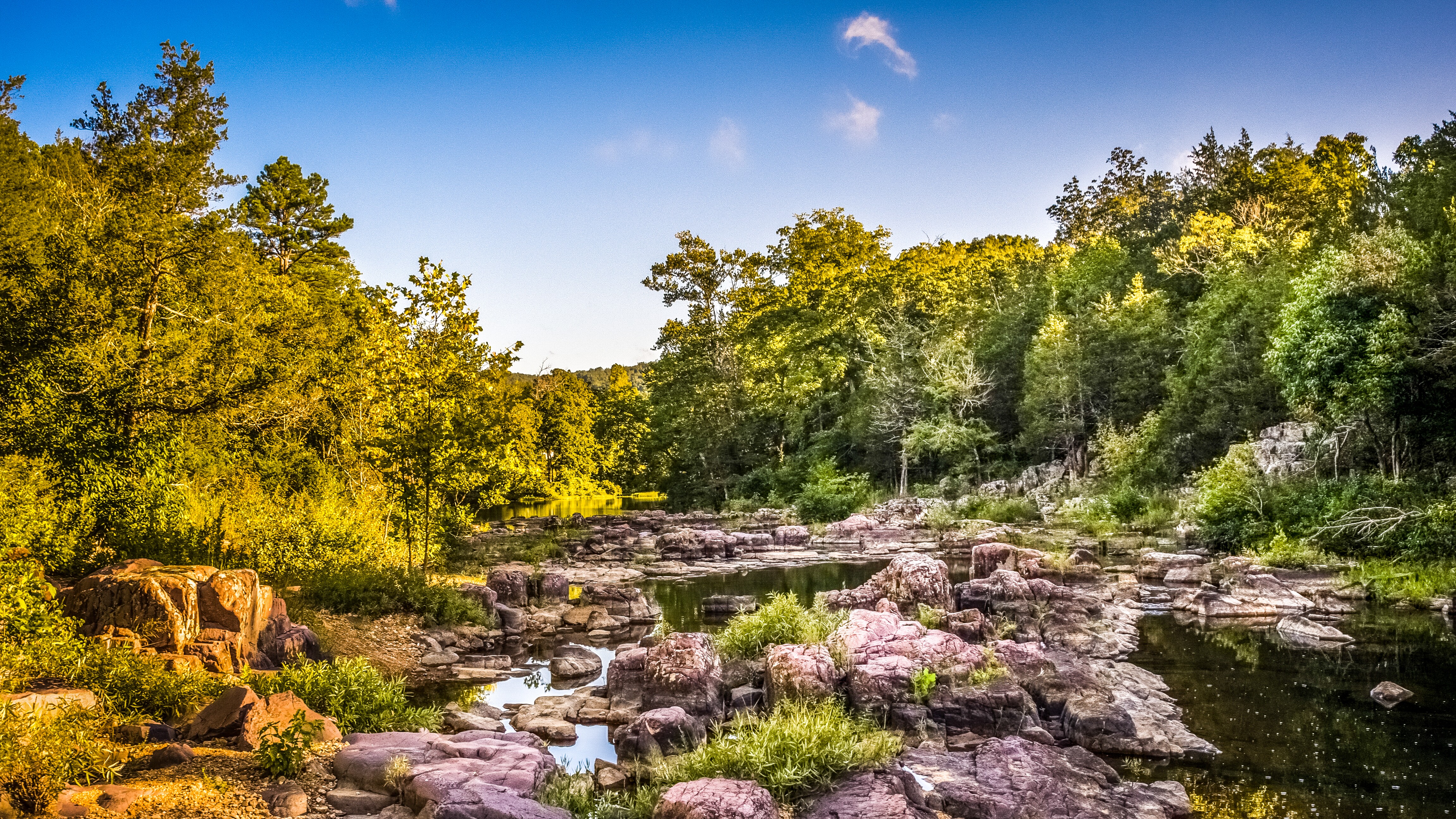 Sugar Camp National Forest Scenic Drive Road Trip