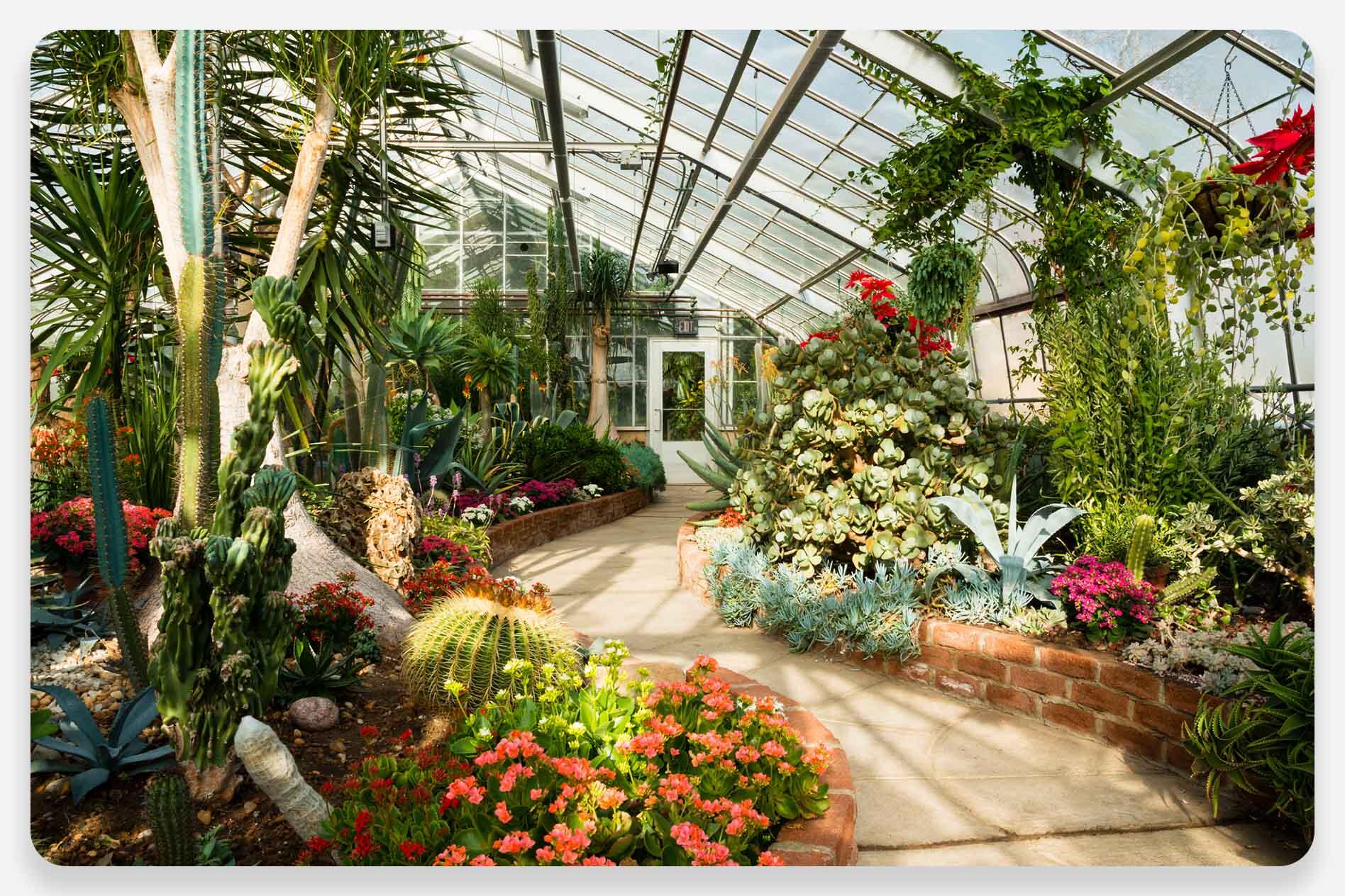 An inside view of the conservatory