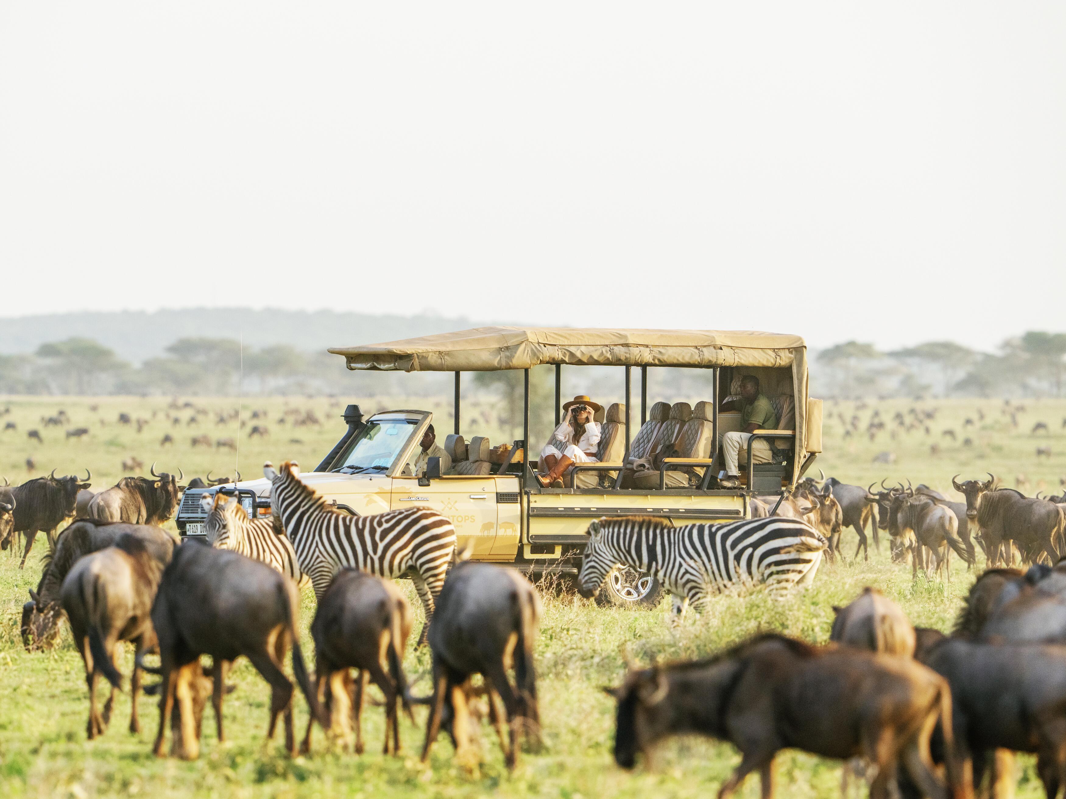 safari, africa, African Travel, tour company, AAA partners, AAA Preferred Partner, Wildlife, Africa Tours