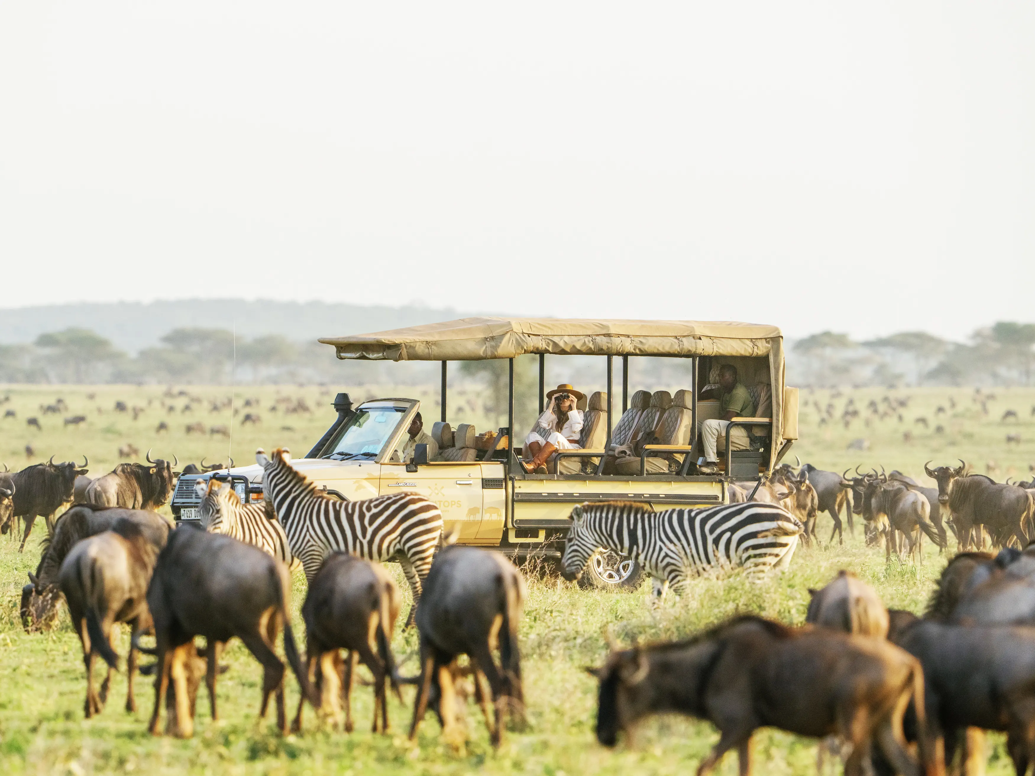 safari, africa, African Travel, tour company, AAA partners, AAA Preferred Partner, Wildlife, Africa Tours